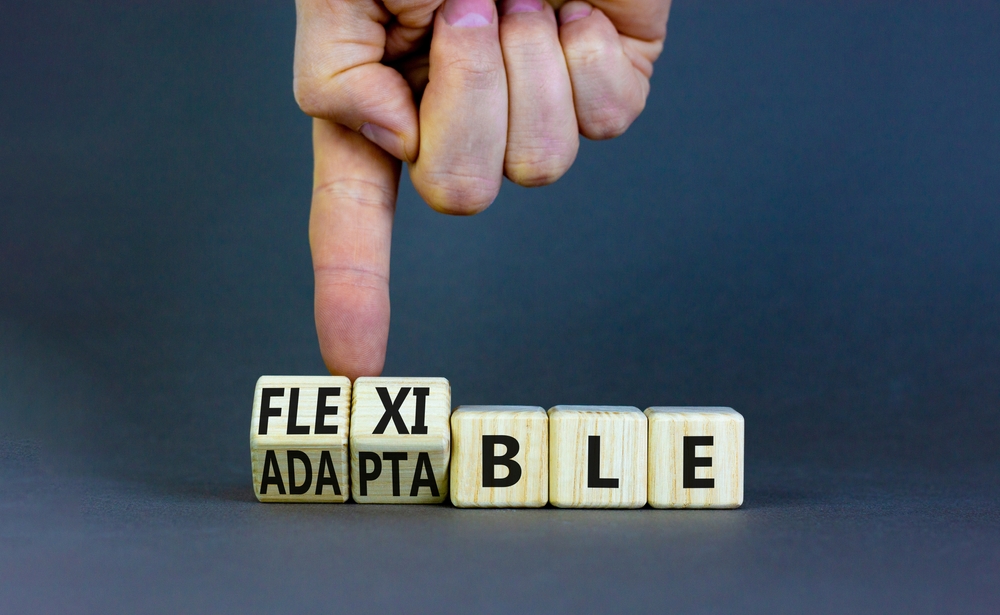 ERP adaptable, flexible